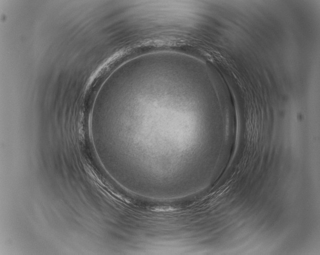 X0000057080392200509091253