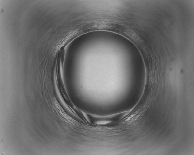 X0000057080393200509091253