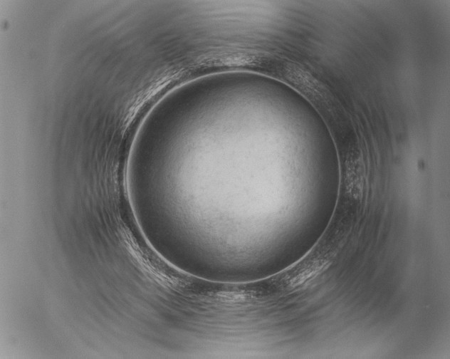 X0000057080394200509091253