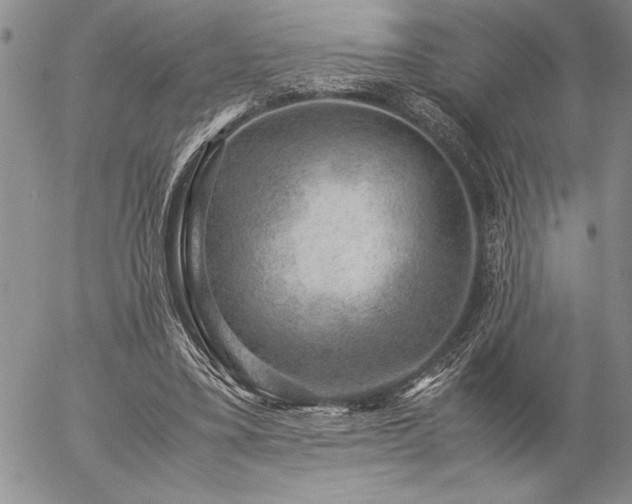 X0000057080395200509091253