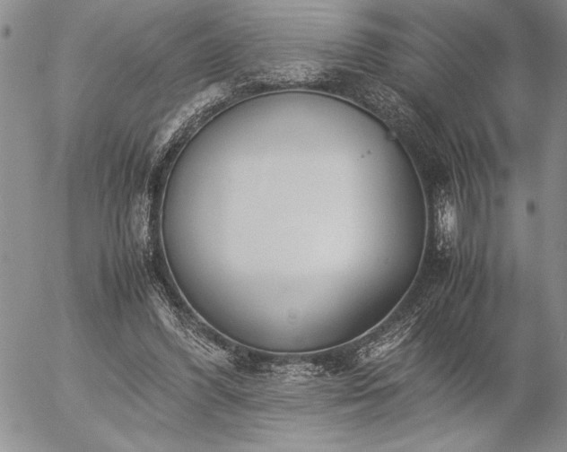 X0000057080396200509091253