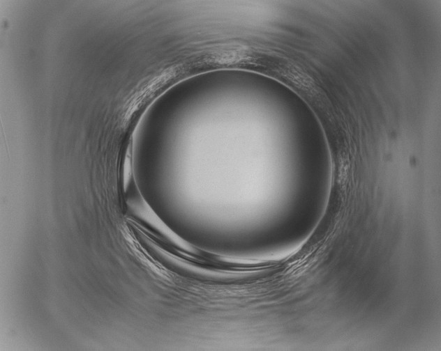 X0000057080397200509091253