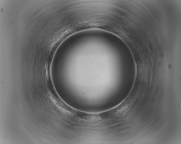 X0000057080398200509091253