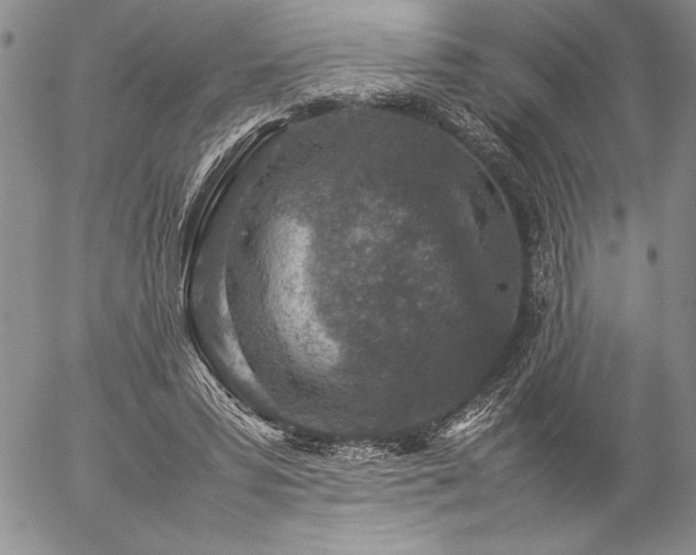 X0000057080399200509091253