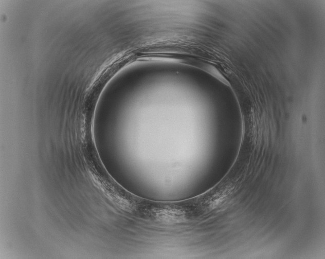 X0000057080400200509091253