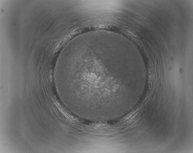 X0000057080401200509091253