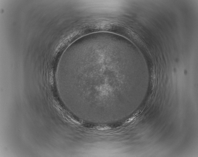 X0000057080403200509091253