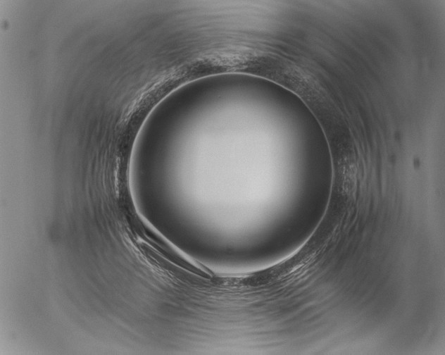 X0000057080404200509091253