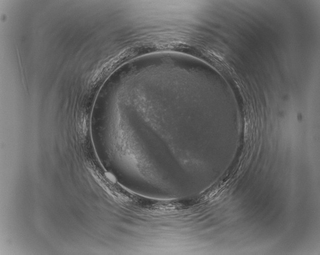 X0000057080405200509091253