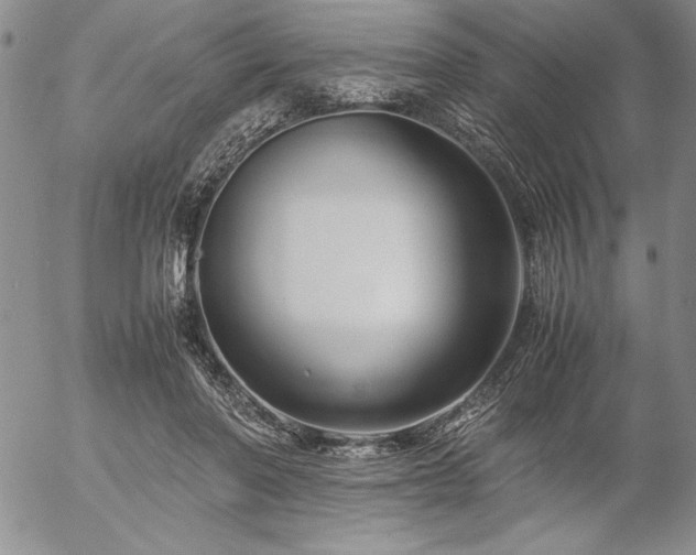 X0000057080406200509091253