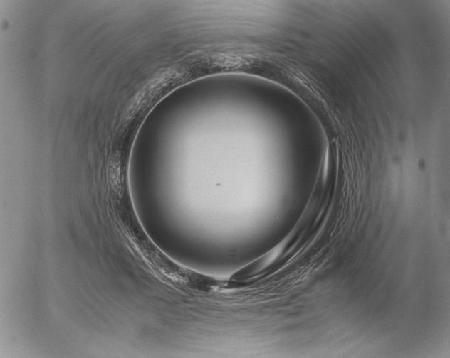 X0000057080407200509091253