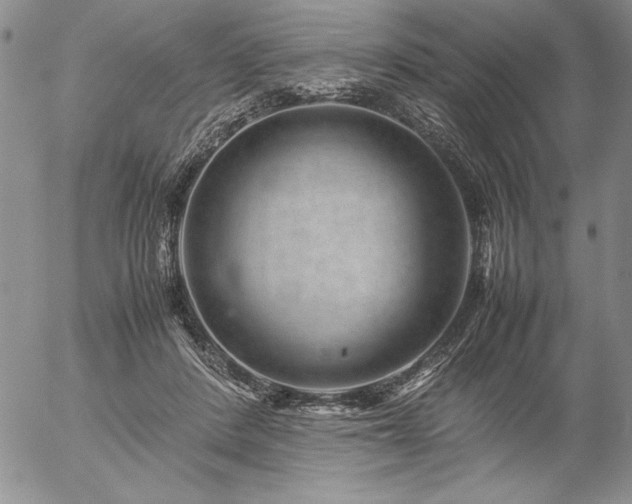 X0000057080408200509091253