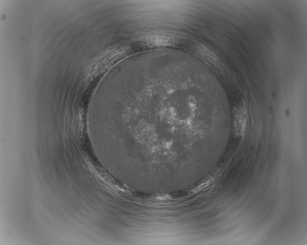 X0000057080410200509091253