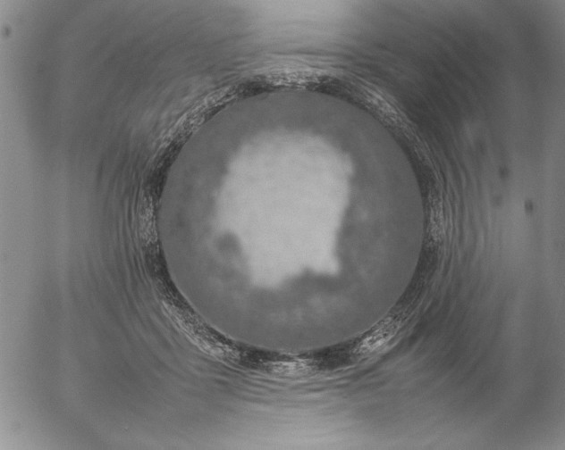 X0000057080411200509091253