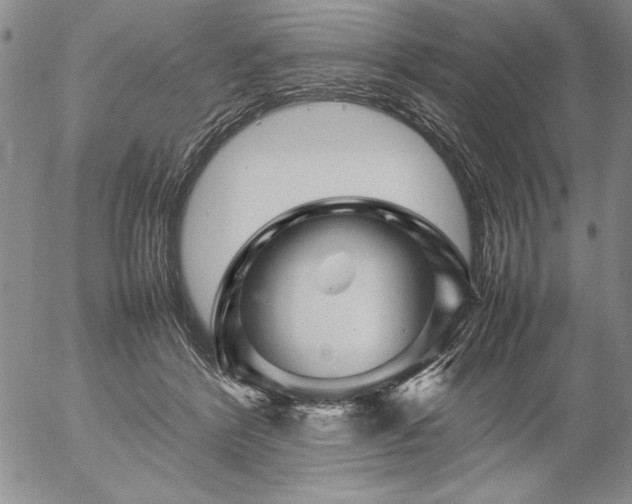 X0000057080412200509091253