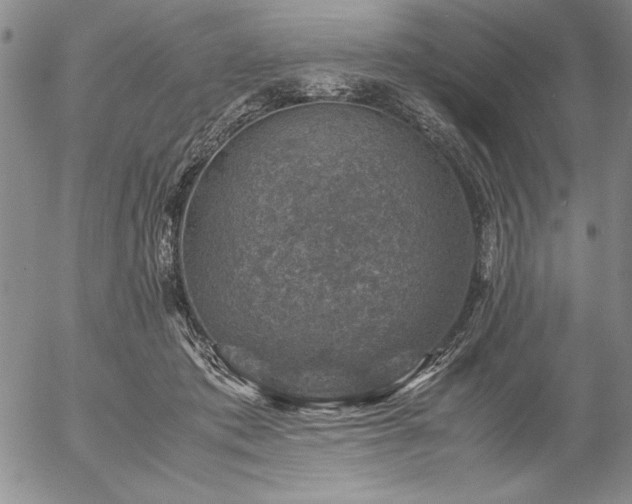 X0000057080413200509091253