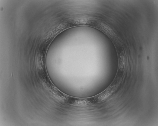 X0000057080414200509091253