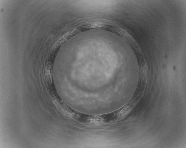 X0000057080415200509091253