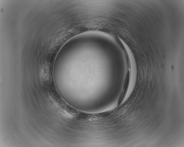 X0000057080416200509091253