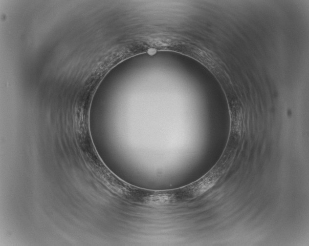 X0000057080418200509091253