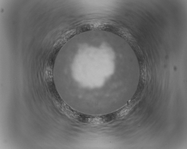 X0000057080419200509091253