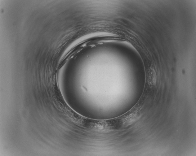 X0000057080420200509091253