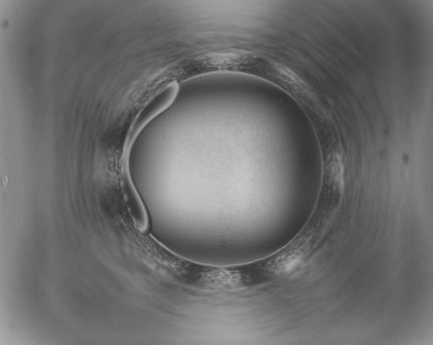 X0000057080421200509091253