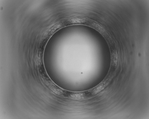 X0000057080422200509091253