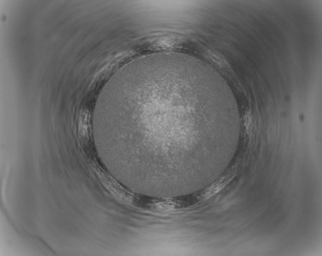 X0000057080423200509091253