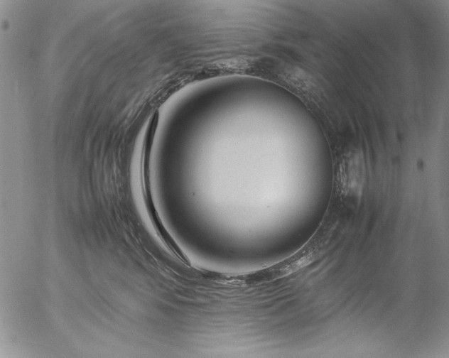 X0000057080424200509091253