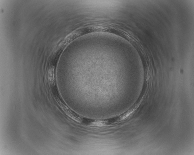 X0000057080425200509091253