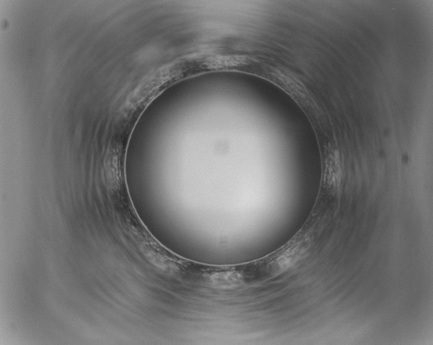 X0000057080426200509091253