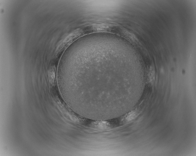 X0000057080427200509091253