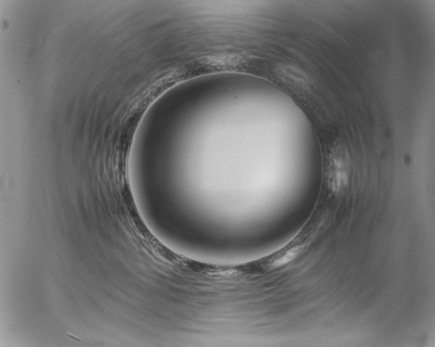 X0000057080428200509091252