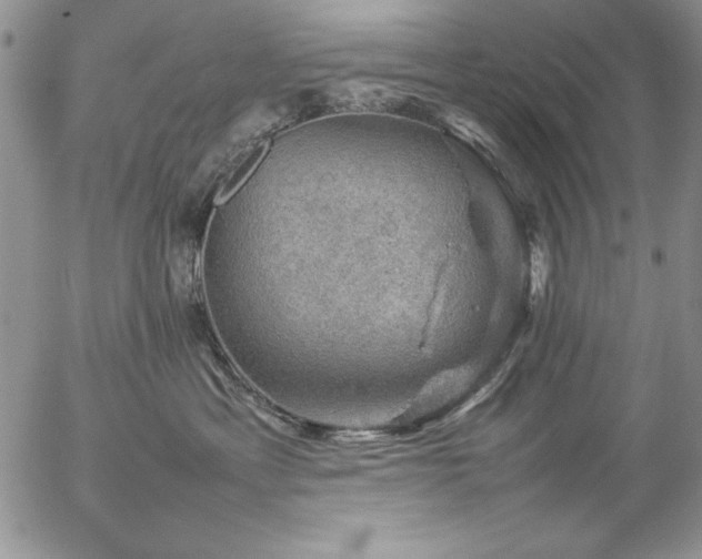 X0000057080429200509091252