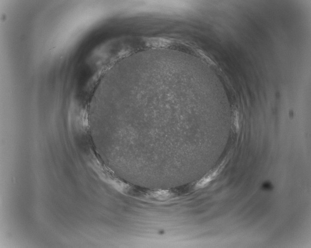 X0000057080431200509091252