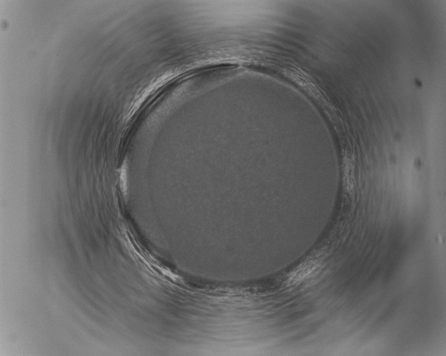 X0000057080434200509091252