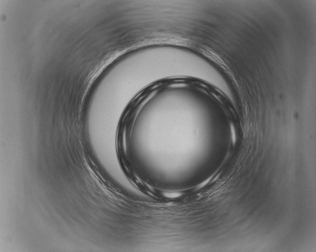 X0000057080436200509091252