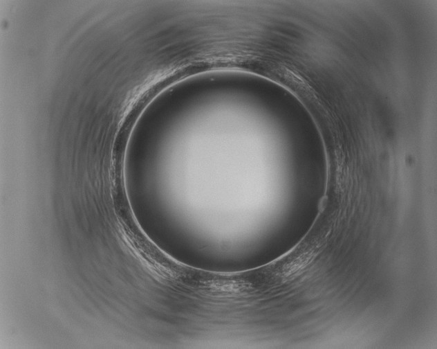 X0000057080439200509091252