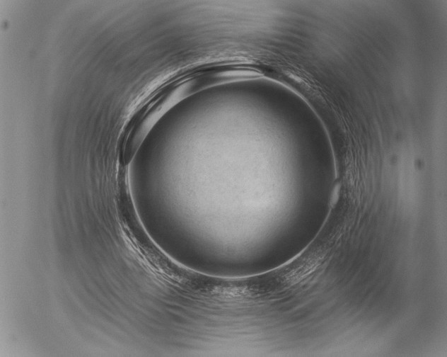 X0000057080440200509091252