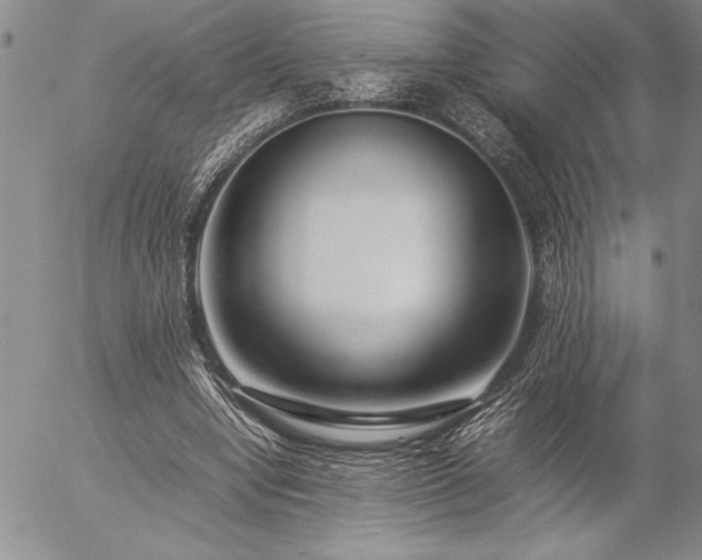 X0000057080442200509091252