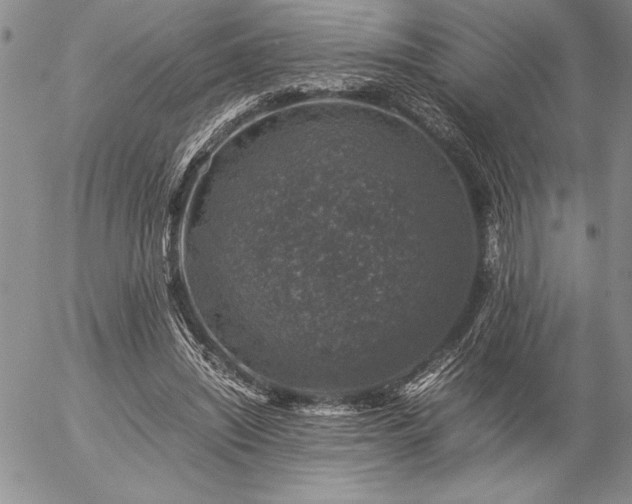 X0000057080444200509091252