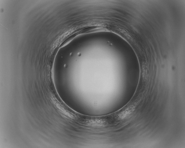 X0000057080445200509091252