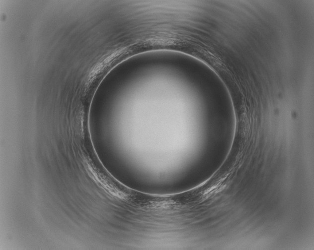 X0000057080446200509091252