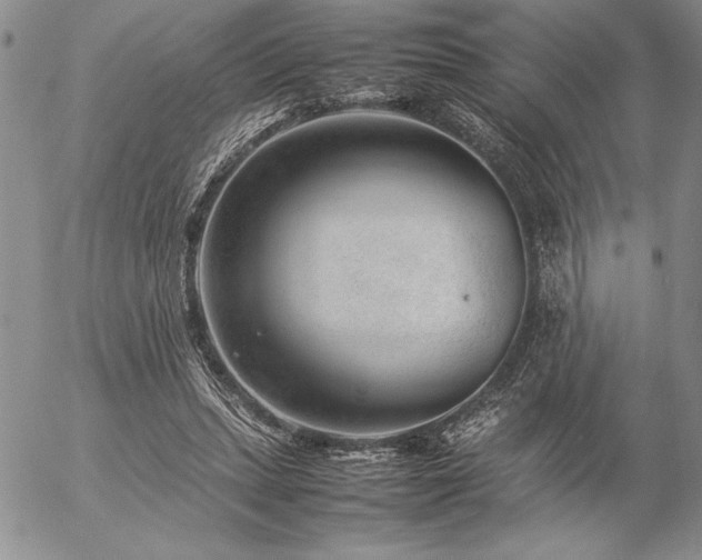 X0000057080447200509091252