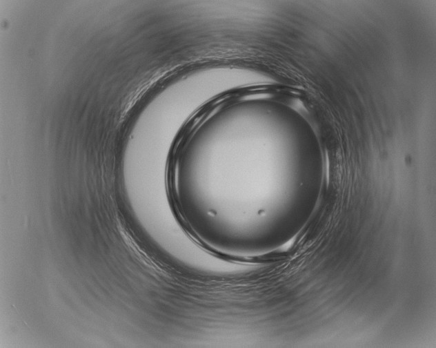 X0000057080448200509091252