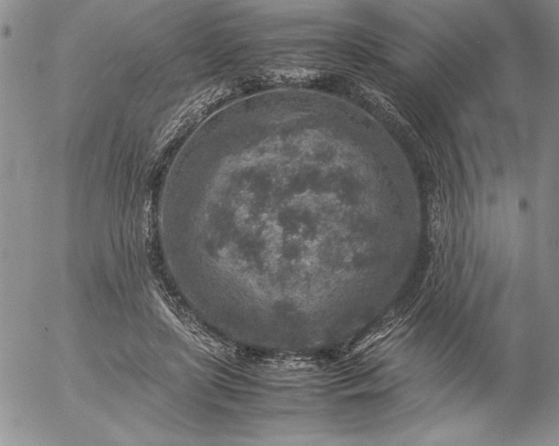 X0000057080451200509091252