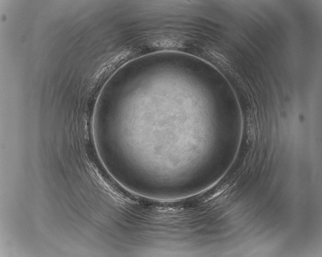 X0000057080453200509091252