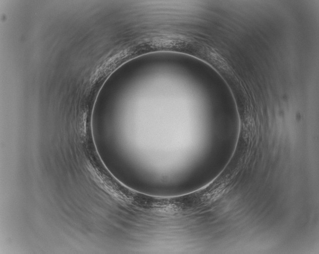 X0000057080454200509091252