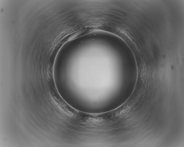 X0000057080455200509091252